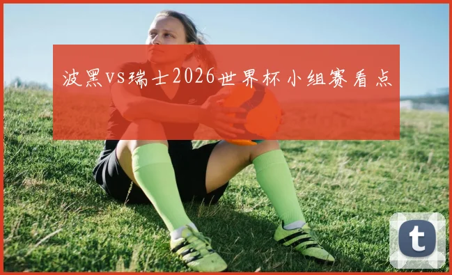 波黑vs瑞士2026世界杯小组赛看点