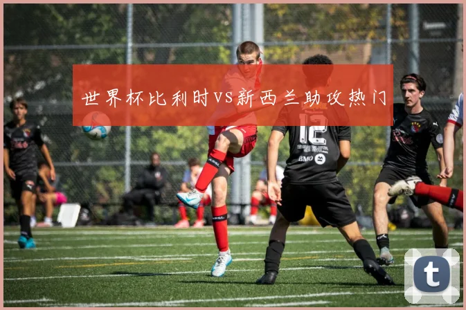 世界杯比利时vs新西兰助攻热门