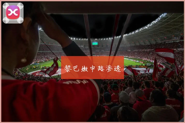 黎巴嫩中路渗透