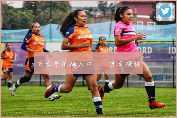开云手机端入口——开云模板
