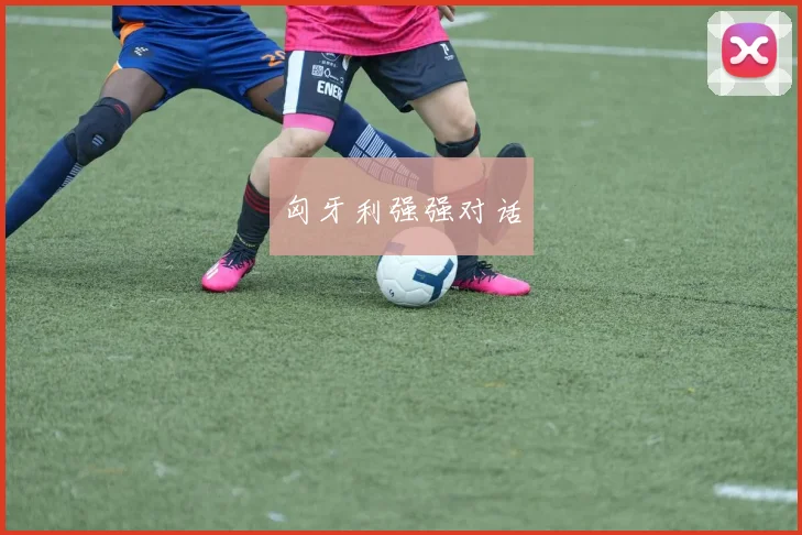 匈牙利强强对话