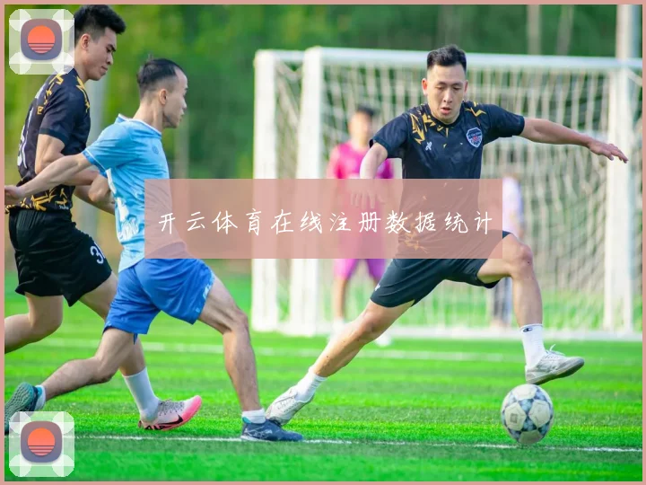开云体育在线注册数据统计