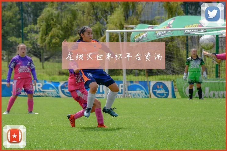 在线买世界杯平台资讯