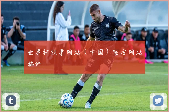 世界杯投票网站（中国）官方网站插件