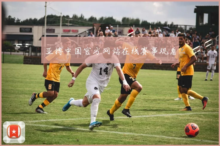 亚搏中国官方网站在线赛事观看