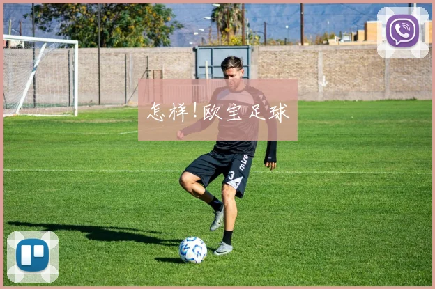 怎样!欧宝足球