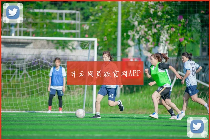 开云网页版官网APP