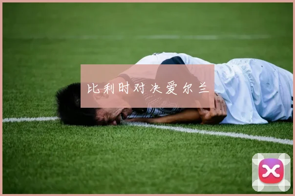 比利时对决爱尔兰