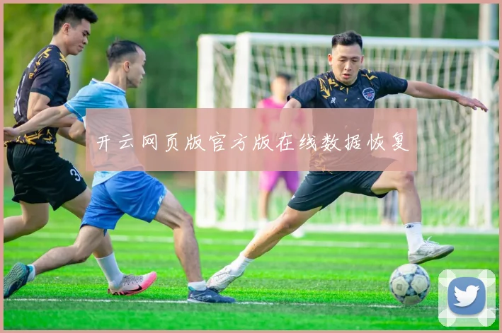 开云网页版官方版在线数据恢复