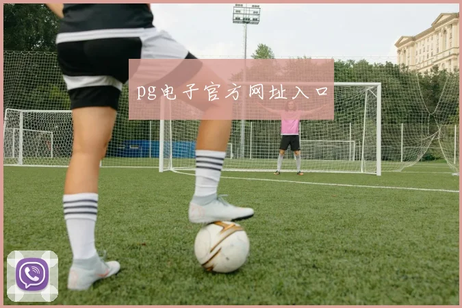 pg电子官方网址入口