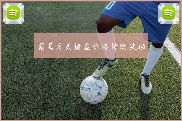 葡萄牙关键盘价格持续波动