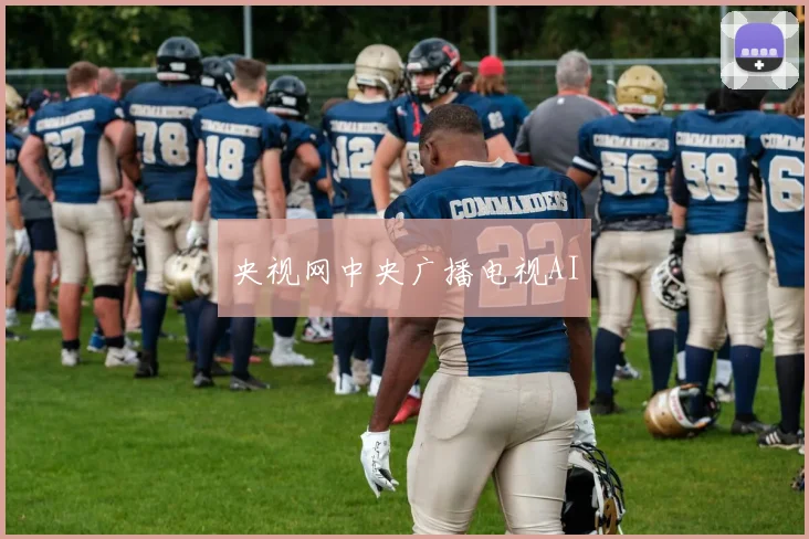 央视网中央广播电视AI