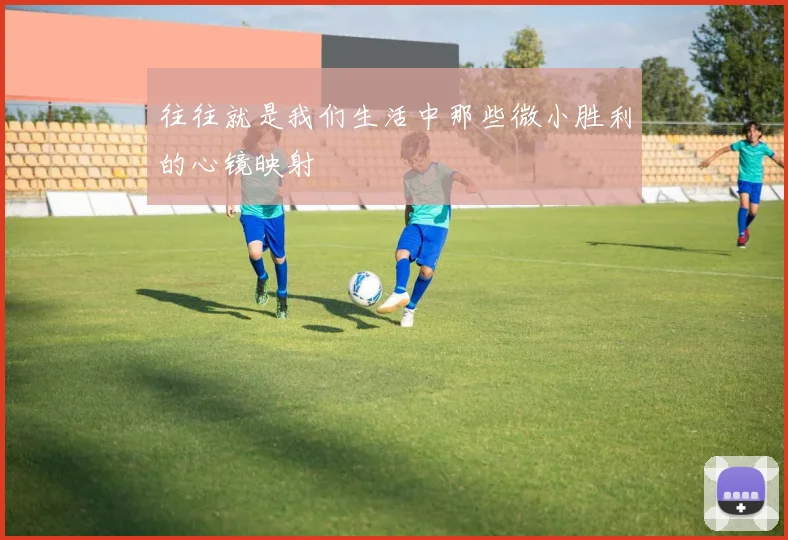 往往就是我们生活中那些微小胜利的心镜映射