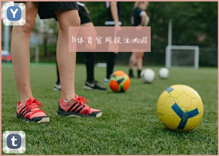 b体育官网投注大厅