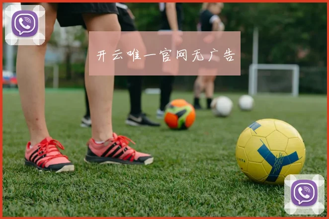 开云唯一官网无广告