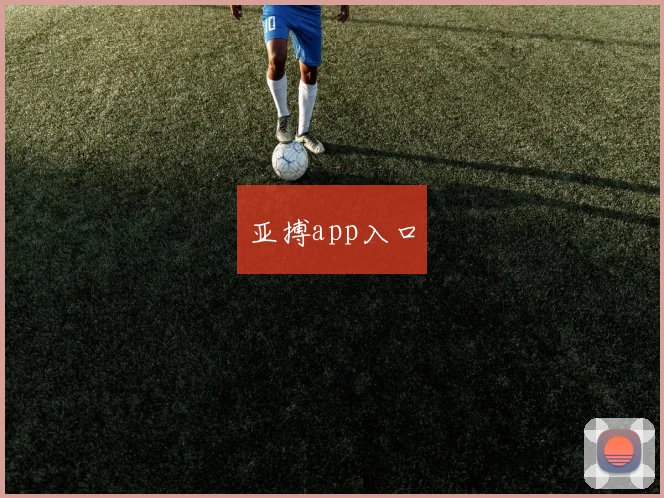 亚搏app入口