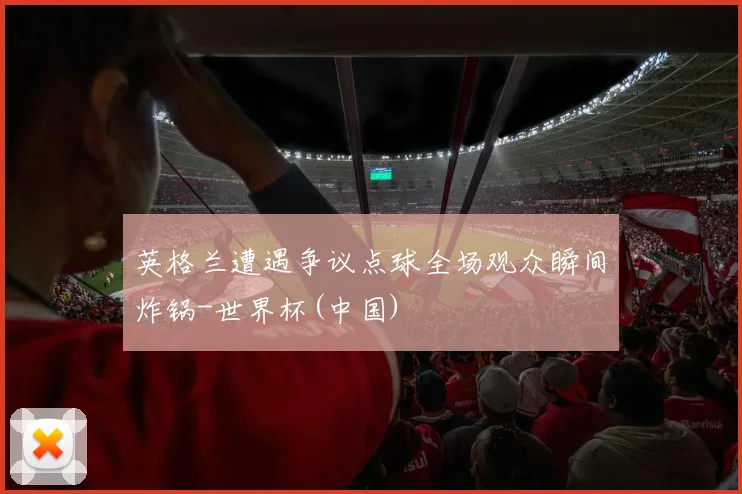 英格兰遭遇争议点球全场观众瞬间炸锅-世界杯(中国)
