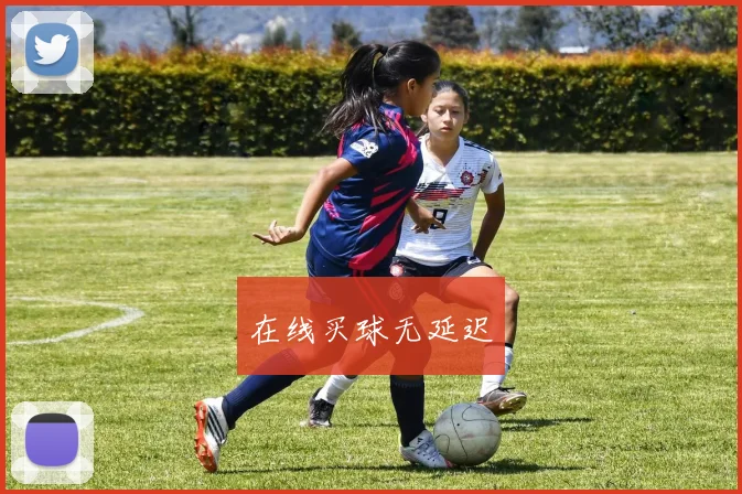 在线买球无延迟