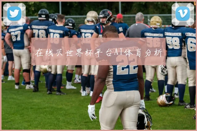 在线买世界杯平台AI体育分析