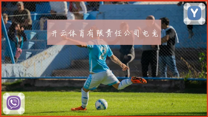 开云体育有限责任公司电竞