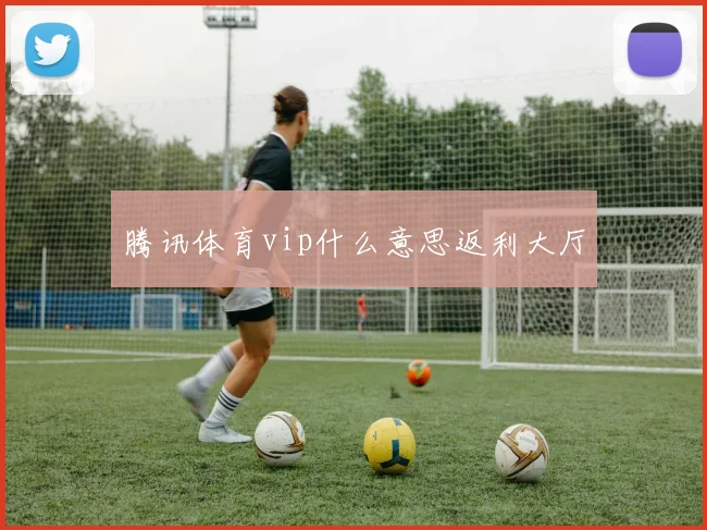 腾讯体育vip什么意思返利大厅