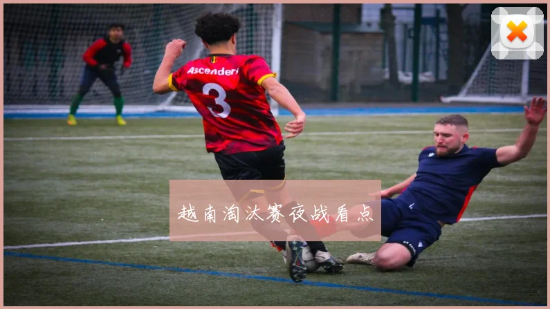 越南淘汰赛夜战看点