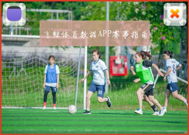 飞鲸体育数据APP赛事指南