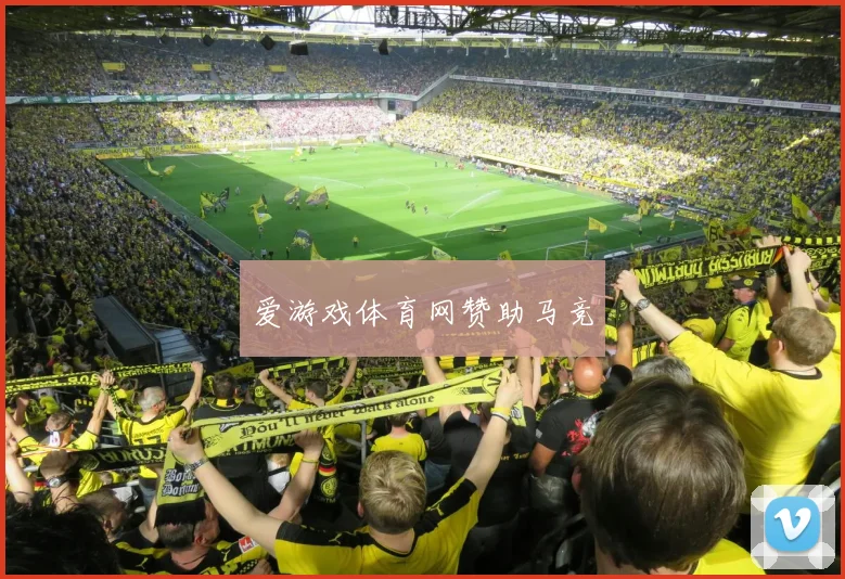 爱游戏体育网赞助马竞