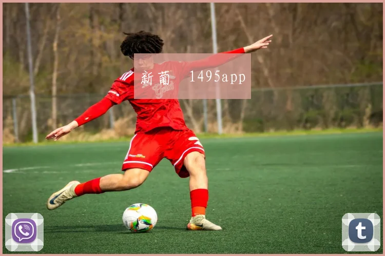 新葡亰1495app