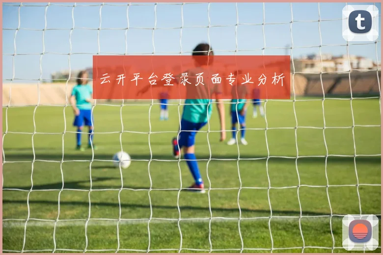 云开平台登录页面专业分析