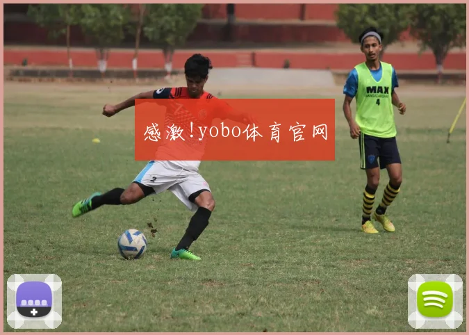 感激!yobo体育官网