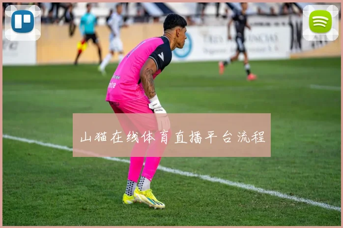 山猫在线体育直播平台流程
