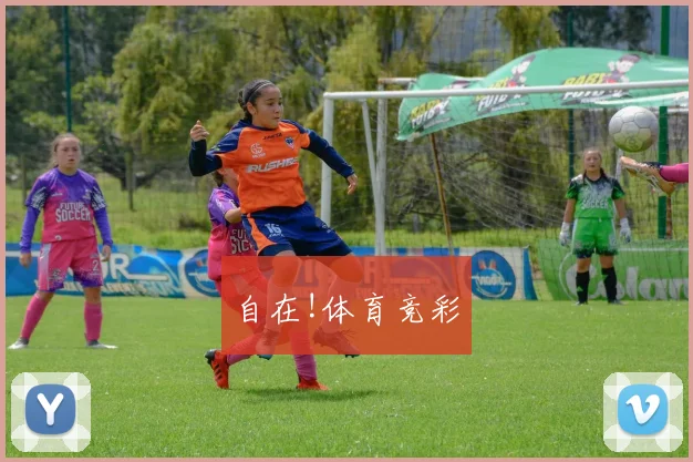 自在!体育竞彩