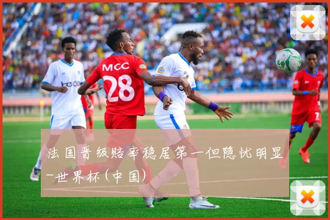 法国晋级赔率稳居第一但隐忧明显-世界杯(中国)