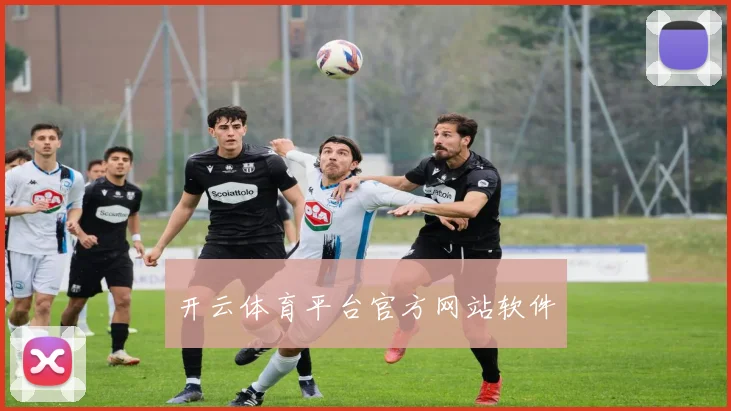 开云体育平台官方网站软件