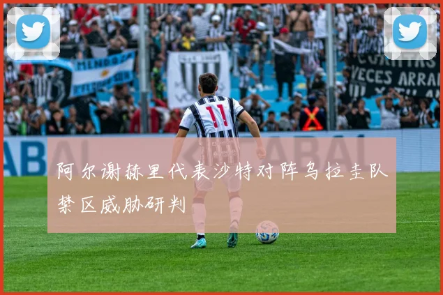 阿尔谢赫里代表沙特对阵乌拉圭队禁区威胁研判