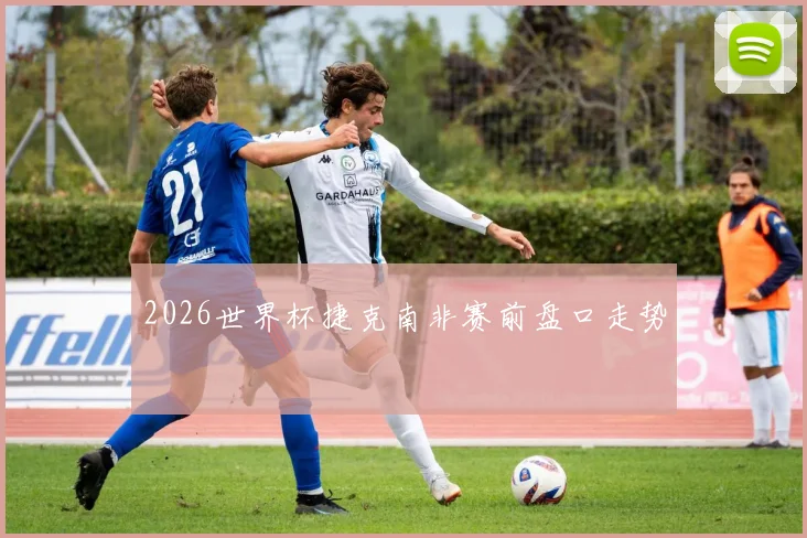 2026世界杯捷克南非赛前盘口走势
