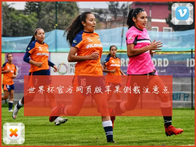 世界杯官方网页版苹果侧载注意点